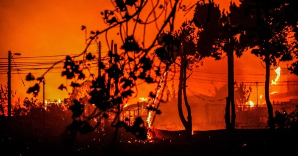 1707093203 Ya Son 99 Los Muertos Por Los Incendios En Chile.jpg