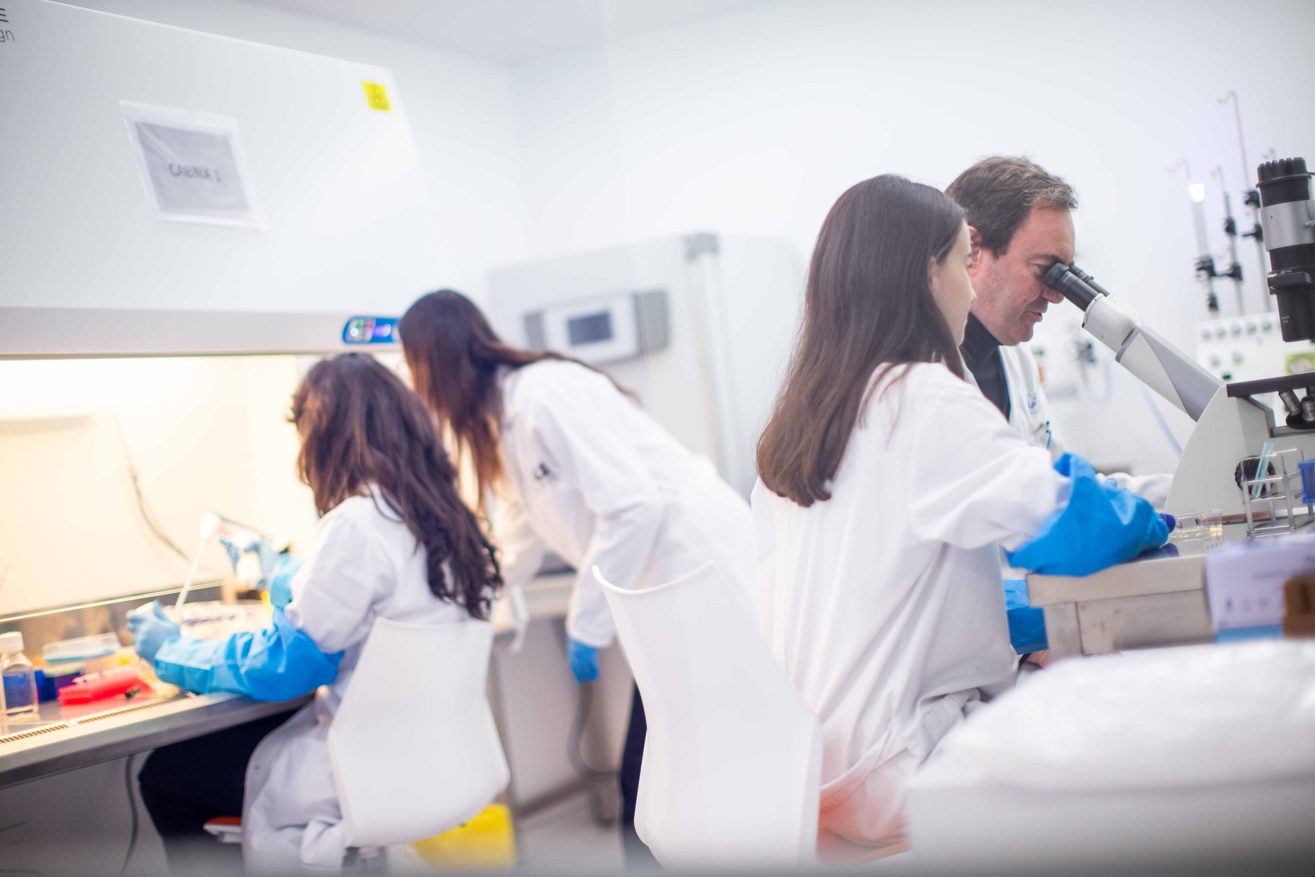 Fundación Mutua lanza la Convocatoria de ayudas XXII para investigación médica