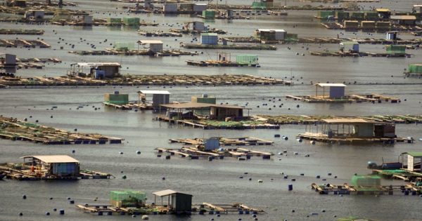 La brecha de seguros frente a catstrofes crece mientras aumentan La Brecha De Seguros Frente A Catstrofes Crece Mientras Aumentan.jpg